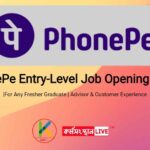 PhonePe Entry-Level Job Opening 2023 |For Any Fresher Graduate | Advisor & Customer Experience